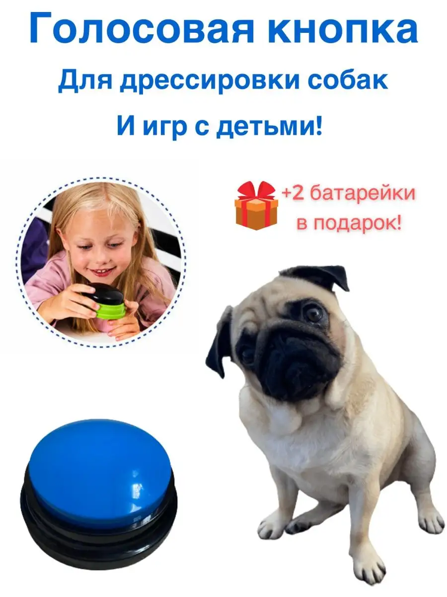 Голосовая кнопка игрушка для животных и детей PUG купить по цене 12,29 р. в  интернет-магазине Wildberries в Беларуси | 122463195