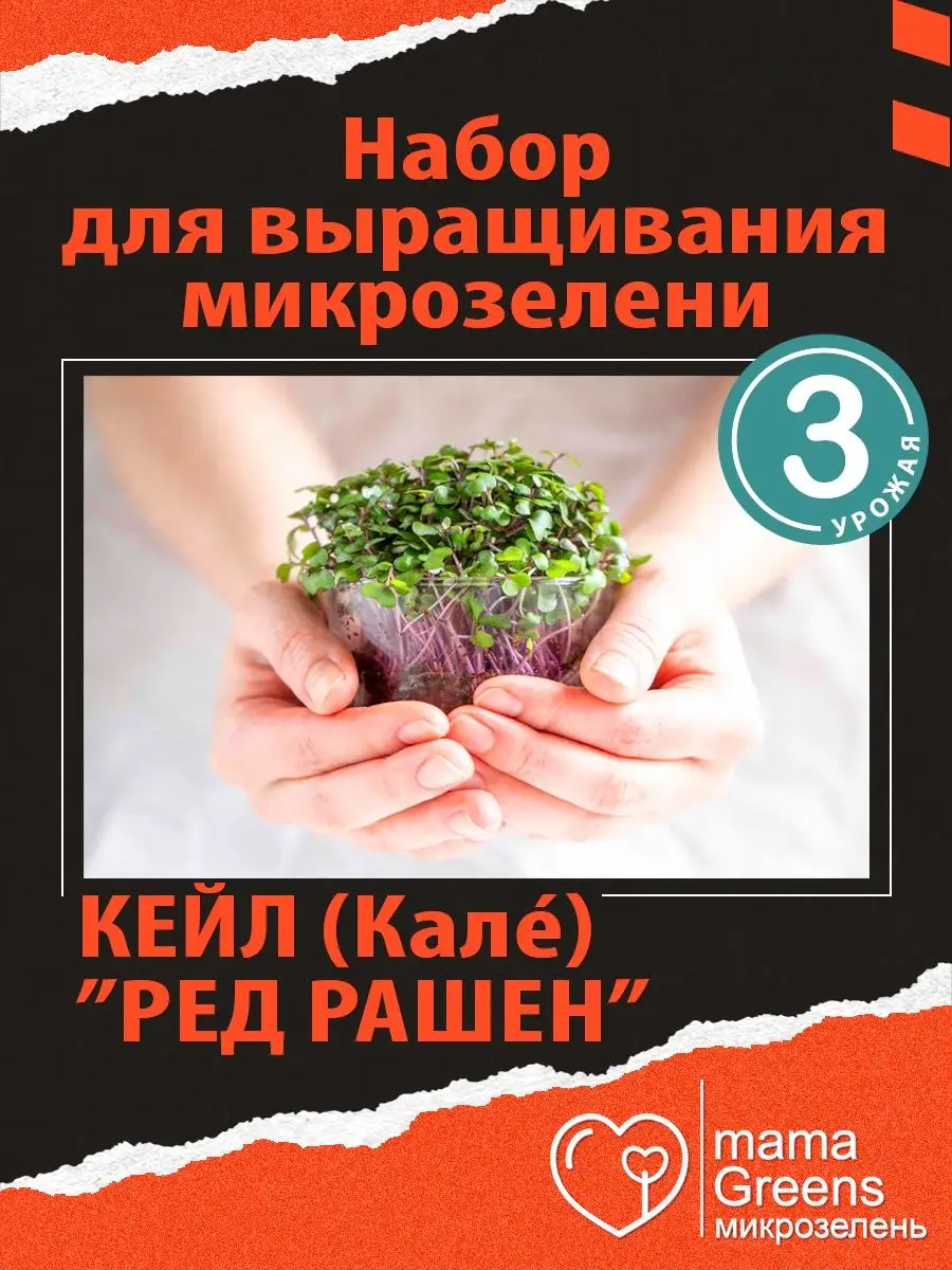 MamaGreens Микрозелень Кейл (Кале) для проращивания