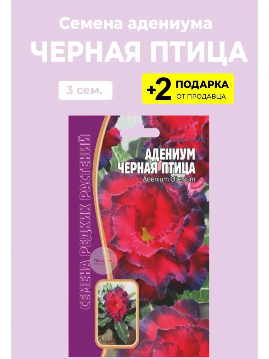 Семена адениум Черная Птица Вырасти дома купить по цене 270 ₽ в  интернет-магазине Wildberries | 122841788