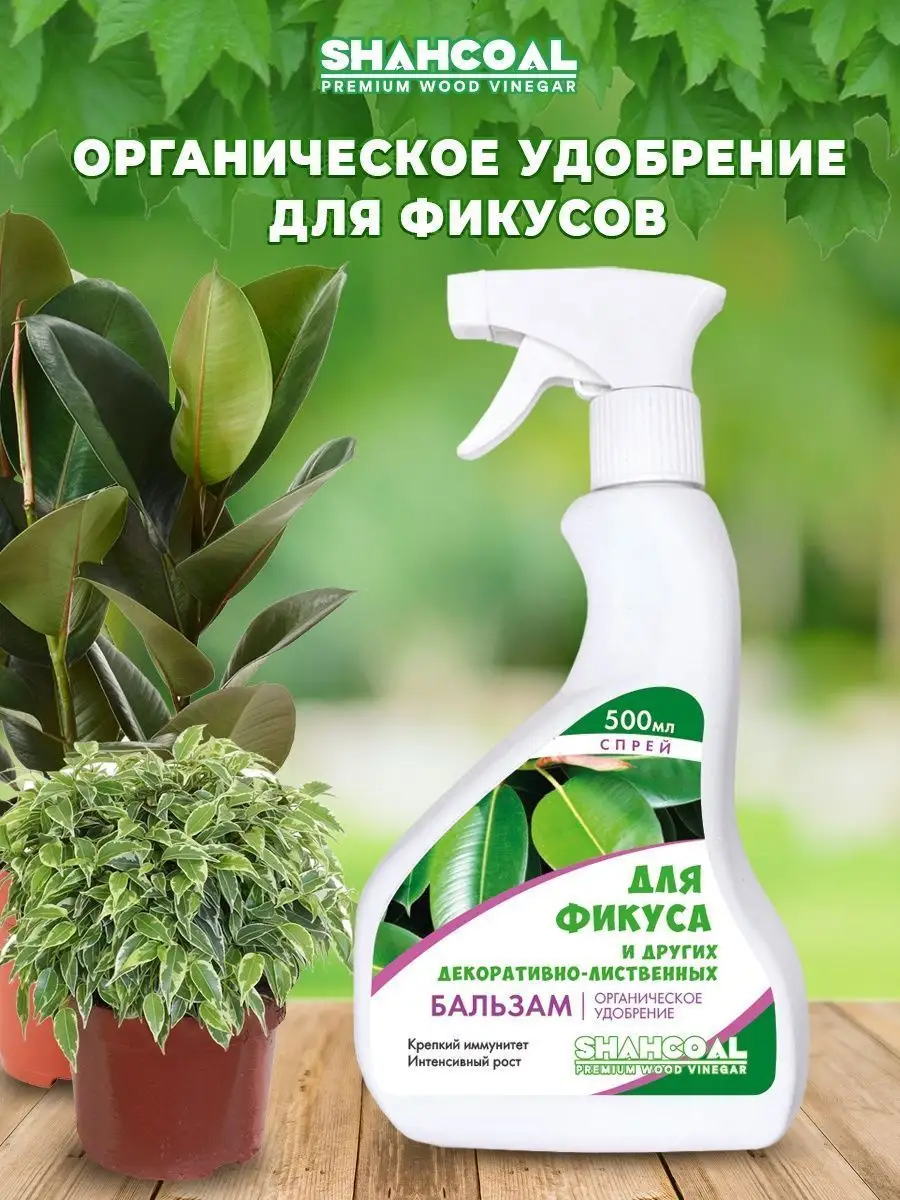 Удобрение для фикусов и пальм. Шахкоал SHAHCOAL купить по цене 305 ₽ в  интернет-магазине Wildberries | 123002407