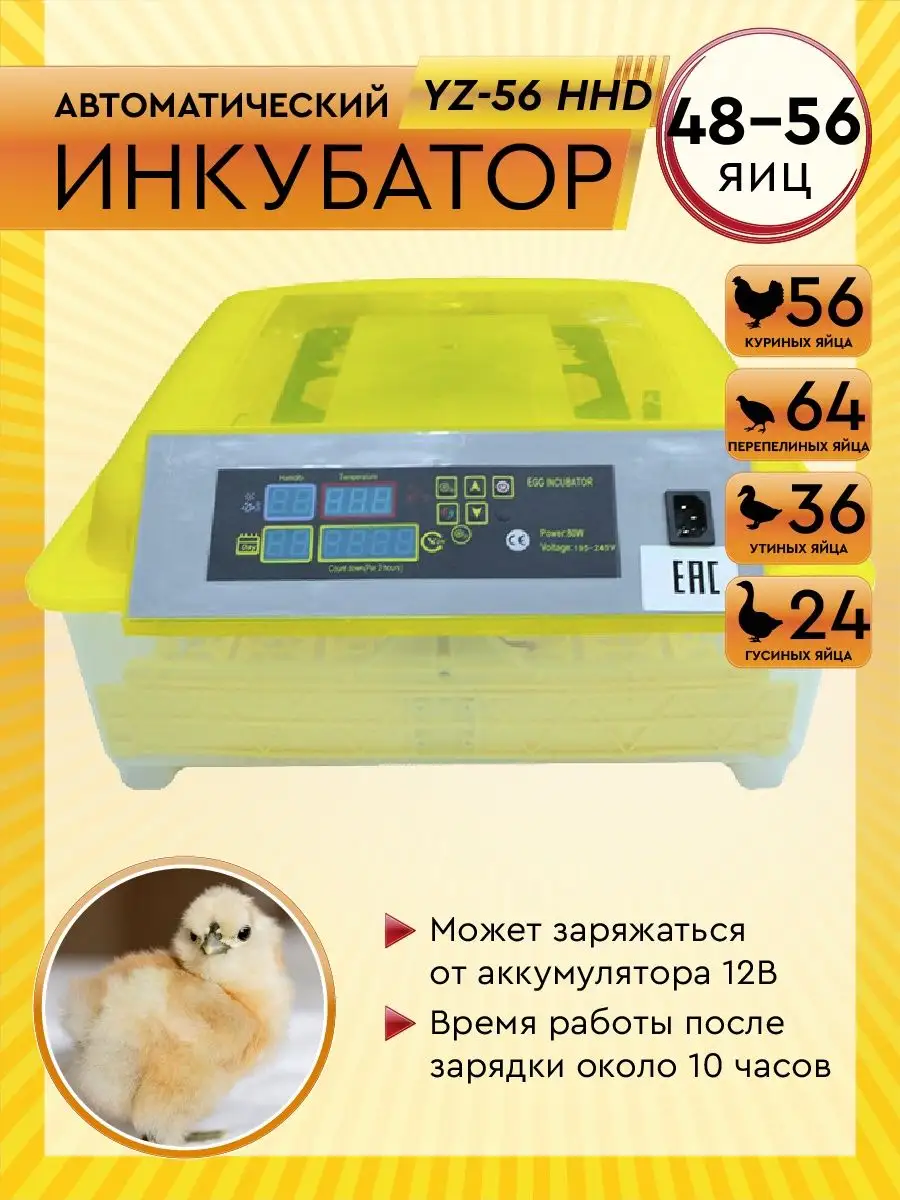 Инкубатор автоматический 48-56 яиц HHD YZ-56 Electropastyx купить по цене  255,71 р. в интернет-магазине Wildberries в Беларуси | 123678295