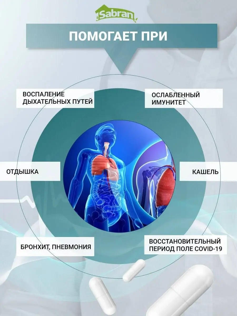 Артинол препарат для легких и бронхов Sabran купить по цене 580 ₽ в  интернет-магазине Wildberries | 124394085