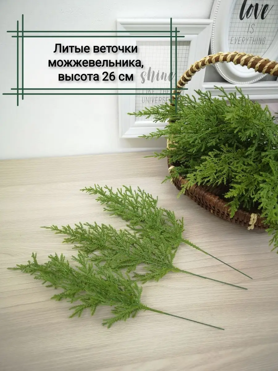 Еловые ветки Сосновые ветки Еловые лапки Home & Flower by E. Urasina купить  по цене 0 р. в интернет-магазине Wildberries в Беларуси | 125003858