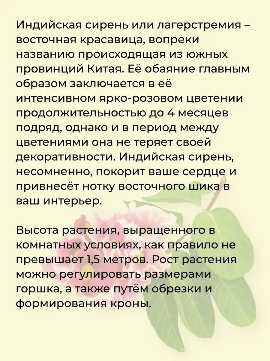 Набор для выращивания растений и цветов в горшке для дома Тысяча листьев  купить по цене 474 ₽ в интернет-магазине Wildberries | 125986930