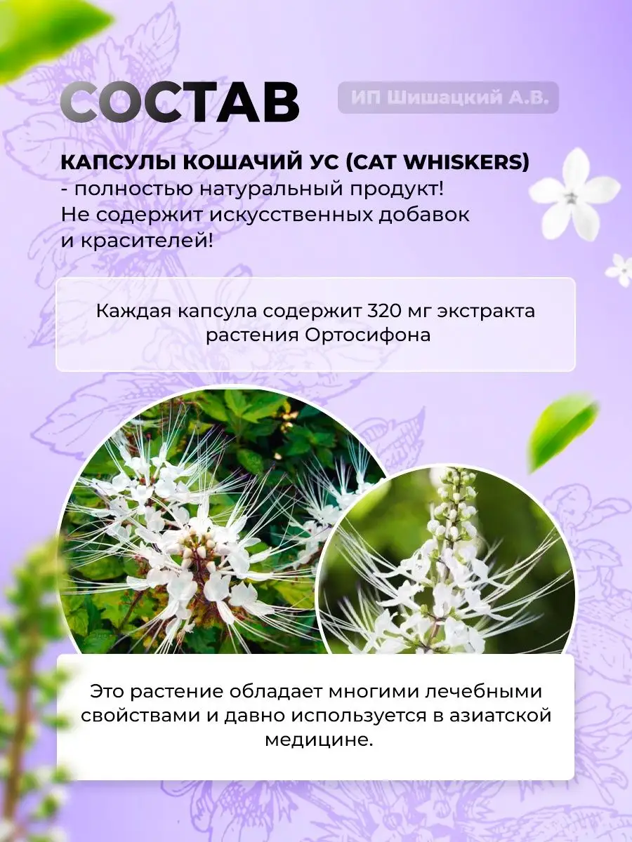 Тайское лекарство для почек от цистита От отеков Мочегонное Thanyaporn  купить по цене 672 ₽ в интернет-магазине Wildberries | 126905013